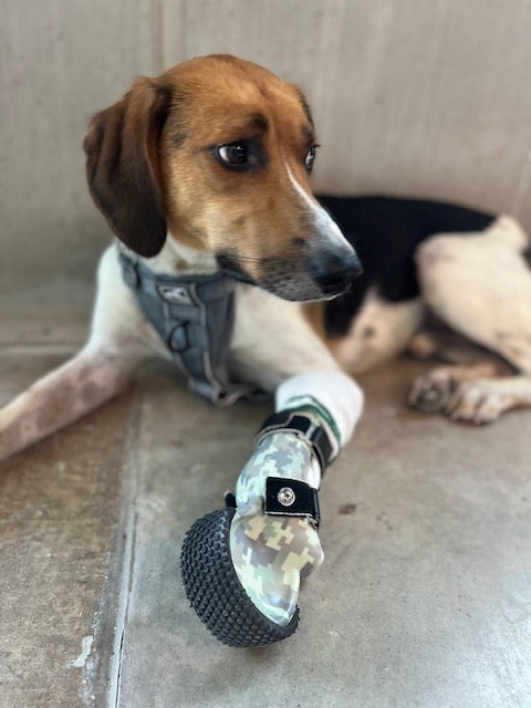 Custom Partial-Limb Prosthetic