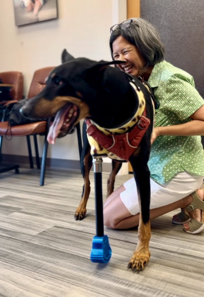 Custom Full-Limb Prosthetic