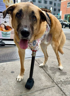 Custom Full-Limb Prosthetic