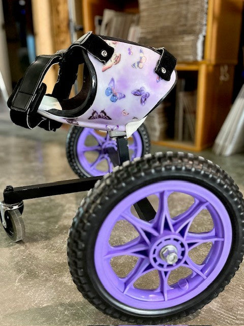 Custom Mobility Carts