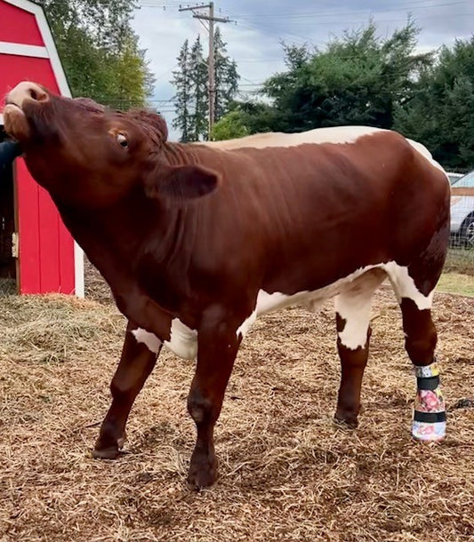 Custom "Able-Body" Prosthetic