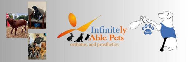 Infinitely Able Pets