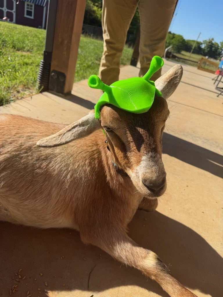 Custom Protective Helmet