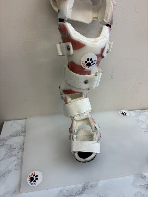 Custom Tarsal Brace (Rear Limb/ Hock)